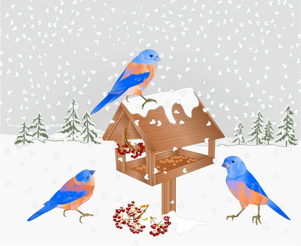 冬季景观森林与雪和蓝鸟与馈线圣诞节主题自然背景复古向量例证可编辑的手绘地方文本 — 图库矢量图片