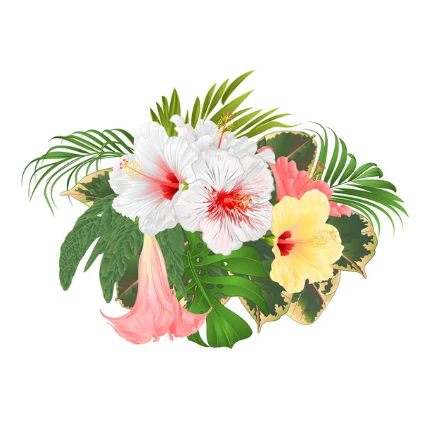 Buket Pembe Sarı Beyaz Ebegümeci Brugmansia Palm Ile Tropikal Çiçek — Stok Vektör