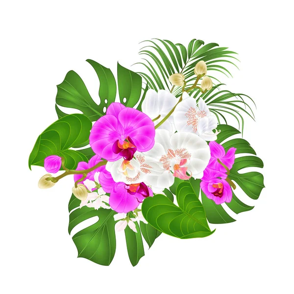 Bukiet Tropikalne Kwiaty Kwiatów Układ Piękne Purpurowe Białe Storczyki Phalaenopsis — Wektor stockowy
