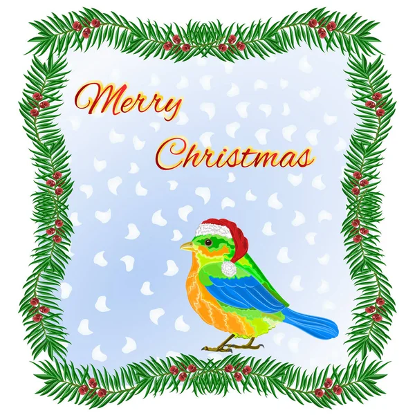 Rahmen Aus Eibe Und Weihnachten Niedlicher Vogel Mit Weihnachtsmannmütze Schriftzug — Stockvektor