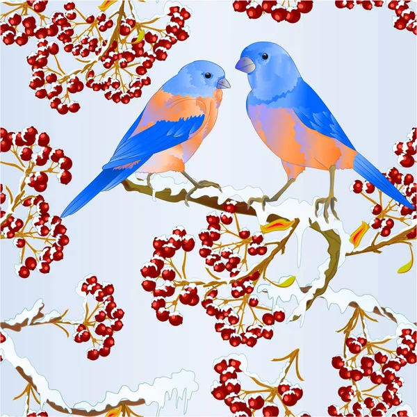 Naadloze Textuur Vogels Bluebirds Lijster Kleine Songbirdon Besneeuwde Boom Berry — Stockvector