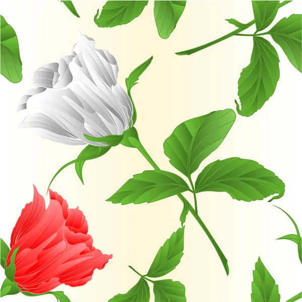Ομαλή Υφή Rosebud Λευκό Και Ροζ Τριαντάφυλλο Κλαδί Φύλλα Ένα — Διανυσματικό Αρχείο