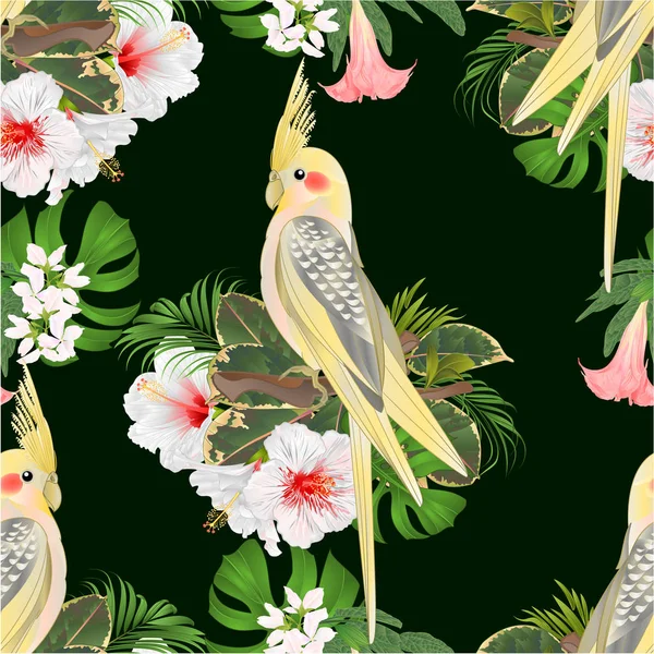 Bezešvých Textur Žluté Korela Roztomilý Tropických Ptáků Legrační Papoušek Bílý — Stockový vektor