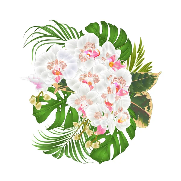 花束与热带花卉插花 与美丽的白色兰花蝴蝶棕榈 佛花和菲库斯在白色背景复古向量例证可编辑的手绘 — 图库矢量图片