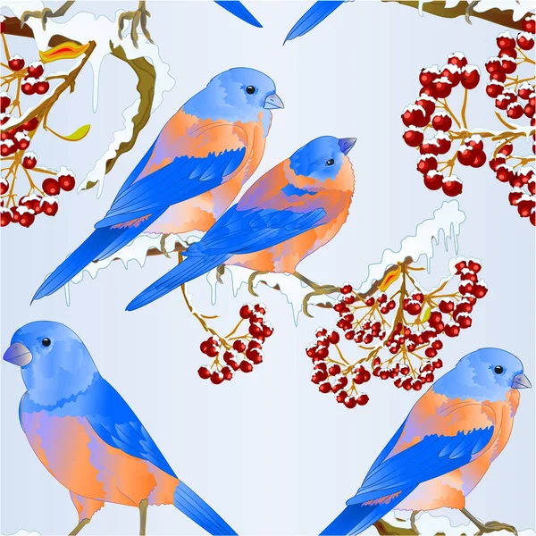 Naadloze Textuur Bluebirds Vogels Lijster Kleine Songbirdon Besneeuwde Boom Berry — Stockvector