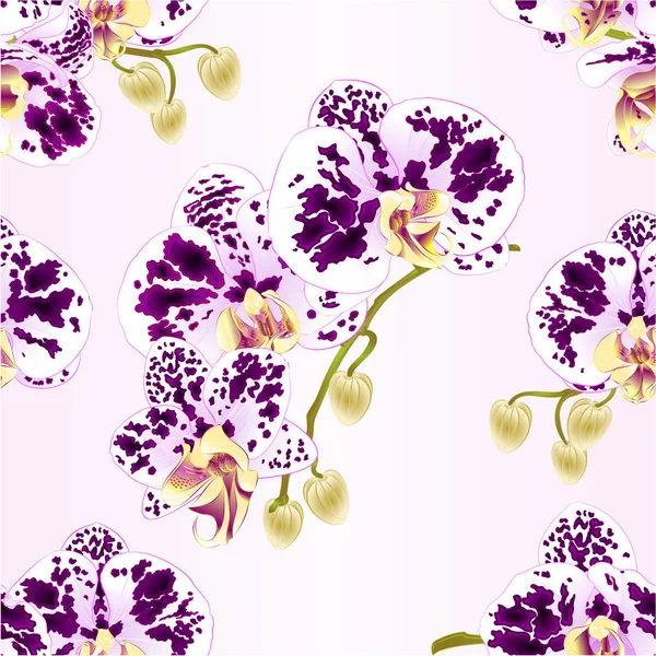 Textura Inconsútil Ramas Orquídeas Flores Manchadas Planta Tropical Phalaenopsis Sobre — Vector de stock