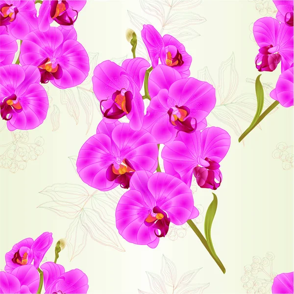 Textura Sem Costura Ramo Orquídea Phalaenopsis Roxo Flores Folhas Plantas — Vetor de Stock