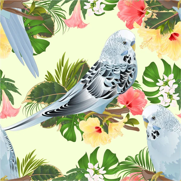 Seamless texture birds Budgerigars, home pet ,blue pet parakeets  on a branch bouquet with tropical flowers hibiscus and   Brugmansia palm,philodendron vintage vector illustration editable hand draw