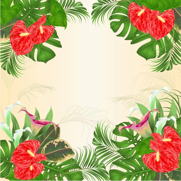 Květinový Rámeček Přirozeného Pozadí Kvetoucí Lilie Cala Anturie Palm Filodendron — Stockový vektor
