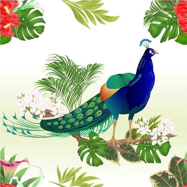 Seamless texture exotic bird beauty Peacock  natural and tropical flowers lili anthurium and cala watercolor vintage vector illustration editable hand drawn