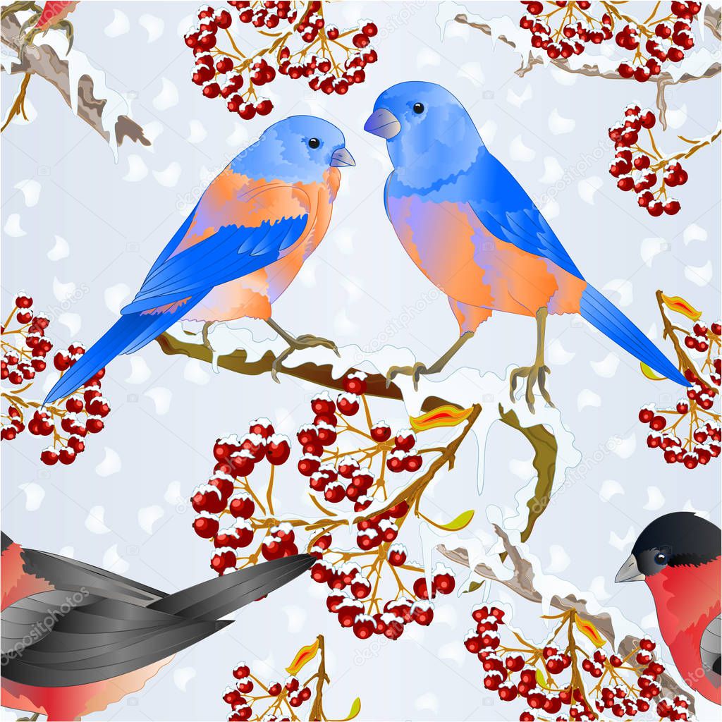 Seamless texture birds Bluebirds and bullfinch small songbirdons on on snowy tree and berry winter background vintage vector illustration editable hand draw