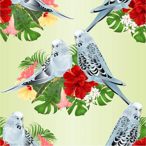 Texture Sans Couture Budgerigars Accueil Animaux Compagnie Bleu Animaux Perruche — Image vectorielle