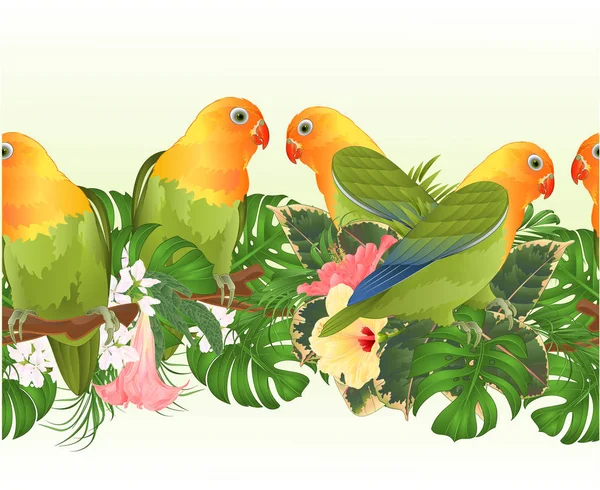 Tropical border seamless background Parrots Agapornis lovebird tropical birds  standing on a branch and Brugmansia with pink and yellow hibiscus  vintage  vector illustration editable hand draw