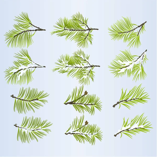 松の木の枝緑豊かな針葉樹の紅葉 冬の雪に覆われた自然な背景設定編集可能な手を描く つのベクトル図 — ストックベクタ