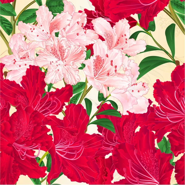 Textura Sin Costuras Rojo Rosa Rododendros Ramas Arbusto Montaña Naturaleza — Archivo Imágenes Vectoriales