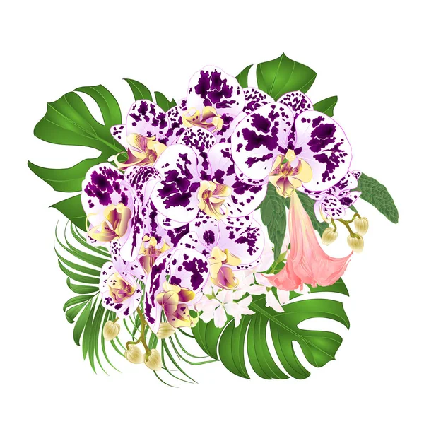 Strauß Mit Tropischen Blumen Florales Arrangement Mit Schönen Getupften Orchidee — Stockvektor