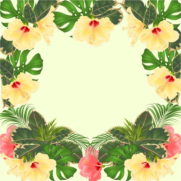 Marco Flores Tropicales Arreglo Floral Con Hibisco Rosa Amarillo Palma — Archivo Imágenes Vectoriales