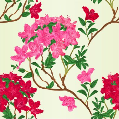 Sorunsuz doku kırmızı ve pembe ormangülü şube dağ çalı vintage vektör botanik illüstrasyon el çizmek