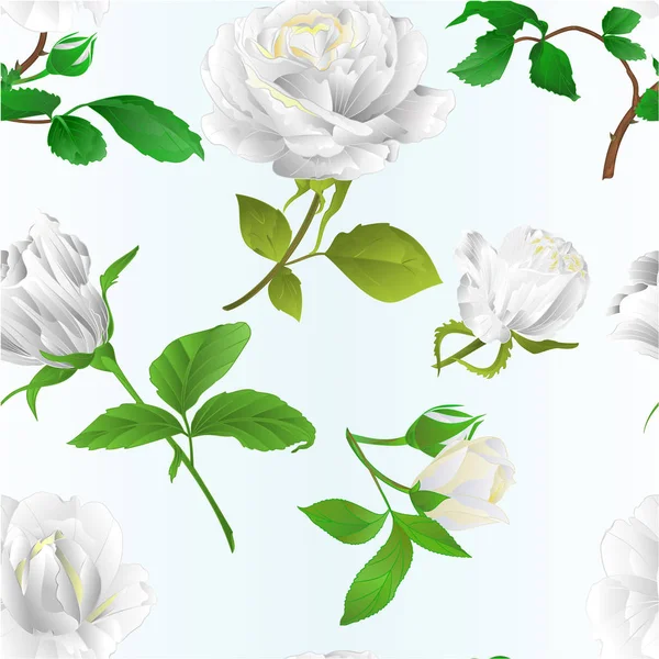 Seamless Texture White Roses Buds Leaves Vintage Blue Background Vector — Stock Vector