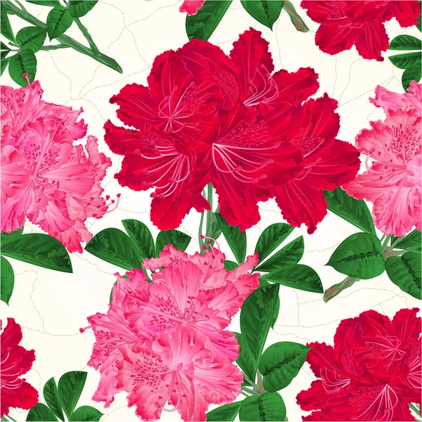 Nahtlose Textur Blüten Rot Und Rosa Rhododendrons Zweig Berg Strauch — Stockvektor