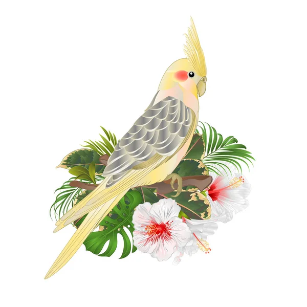 Komik Papağan Sarı Petsupplies Şirin Tropik Kuş Beyaz Hibiscus Suluboya — Stok Vektör