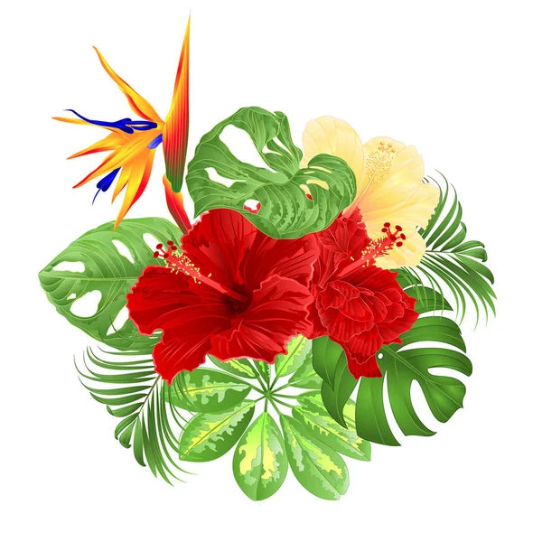 Illata Trópusi Virág Virág Elrendezése Strelitzia Piros Sárga Hibiscus Palm — Stock Vector
