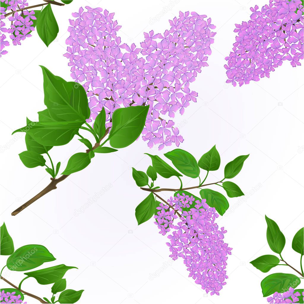 Seamless Texture Lilac Twigs With Flowers And Leaves Vintage Natural Background Vector Botany Illustration Editable Hand Draw Premium Vector In Adobe Illustrator Ai Ai Format Encapsulated Postscript Eps Eps Format