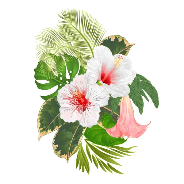 Arreglo Floral Flores Tropicales Con Hibisco Blanco Palma Brugmansia Ilustración — Vector de stock