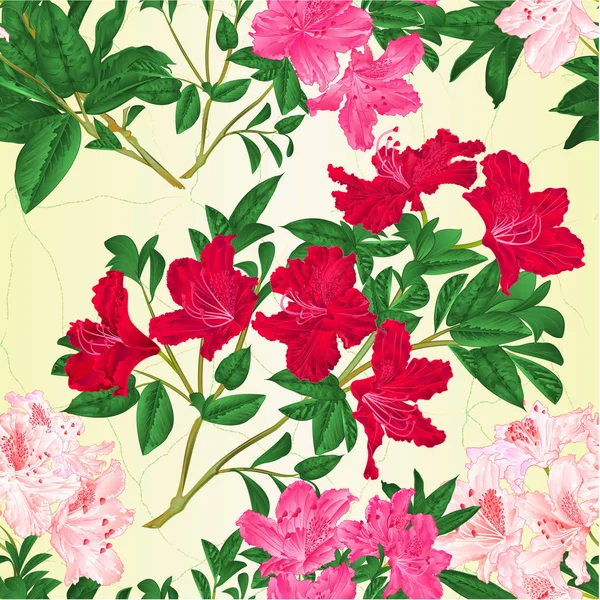 Naadloze Textuur Tak Licht Roze Roze Rode Bloemen Rhododendron Berg — Stockvector