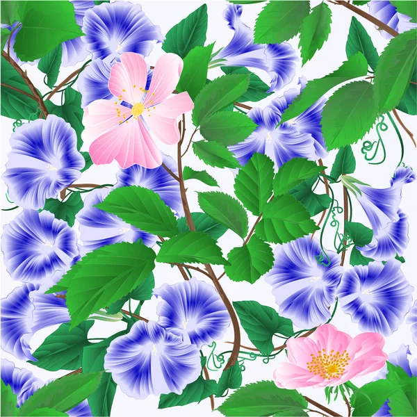Textura Sin Costuras Mañana Gloria Azul Primavera Flores Ramitas Rosas — Archivo Imágenes Vectoriales