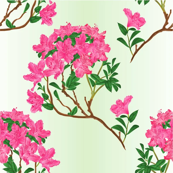 Textura Sem Costura Rosa Rododendro Ramo Mola Fundo Vetor Vintage —  Vetores de Stock