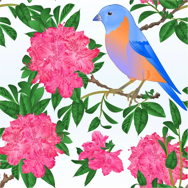 Naadloze Textuur Kleine Vogel Bluebird Lijsters Pinkrhododendron Voorjaar Achtergrond Vintage — Stockvector