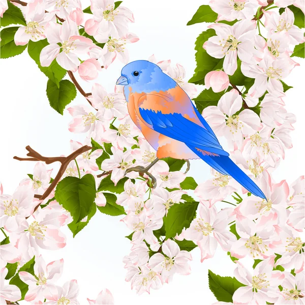 Seamless Texture Small Bird Thrush Bluebird Apple Tree Flowers Vintage — Stock Vector