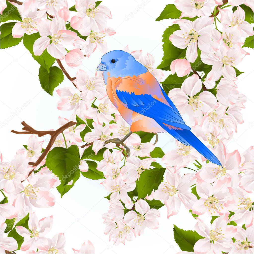 Seamless texture small bird thrush Bluebird  on a apple tree with flowers vintage vector illustration editable hand draw