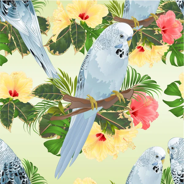 Bezešvých Textur Ptactvo Papoušky Andulky Modré Domácí Větev Kytice Tropické — Stockový vektor