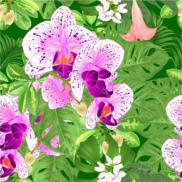 Ramo Con Flores Tropicales Arreglo Floral Hermosa Orquídea Phalaenopsis Púrpura — Vector de stock