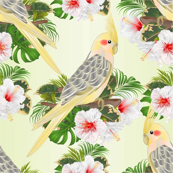 Bezešvých Textur Papoušek Žluté Korela Roztomilý Tropických Ptáků Bílý Ibišek — Stockový vektor
