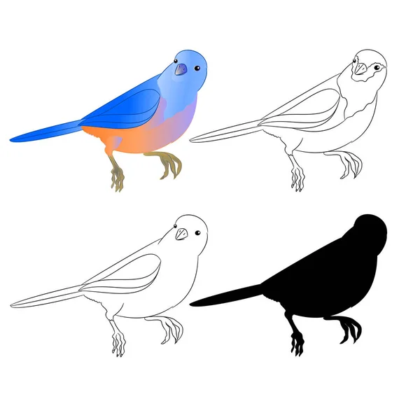 Kleine Vogel Lijster Bluebird Overzicht Natuur Silhouet Een Witte Achtergrond — Stockvector