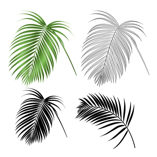 Folha Palmeira Decoração Tropical Casa Planta Natureza Contorno Silhueta Vintage — Vetor de Stock