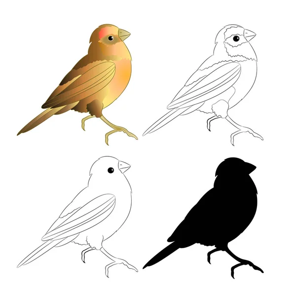Beraberlik Küçük Kuş Ardıç Kuşu Siluet Anahat Doğa Bir Beyaz — Stok Vektör