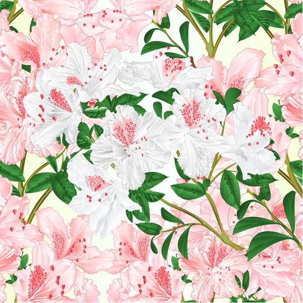 Textura Sem Costura Luz Rosa Branco Rhododendron Ramo Vintage Vetor —  Vetores de Stock