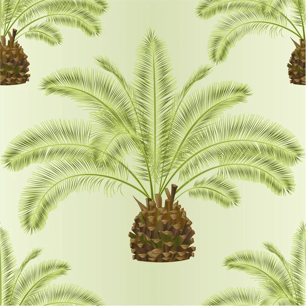 Бесшовная Текстура Тропического Растения Palmae Phoenix Canariensis Пальмовые Arecaceae Листья — стоковый вектор