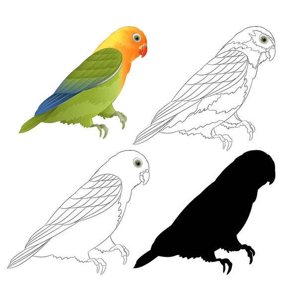 Agapornis Lovebird Papoušek Tropických Ptáků Přírodní Osnovy Silueta Bílém Pozadí — Stockový vektor