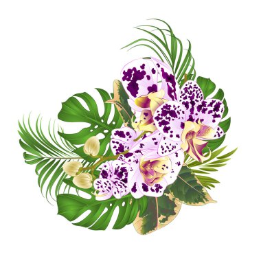 Buket güzel benekli mor ve beyaz orkide, tropikal çiçek çiçek düzenleme ile palm, bitkiyi ve ficus vintage vektör çizim düzenlenebilir el çizmek 