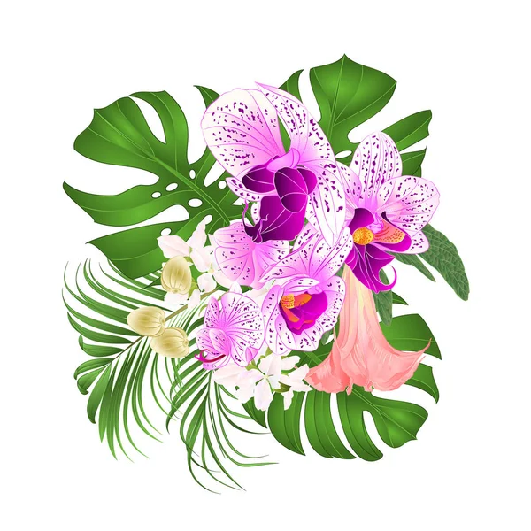 Bouquet Tropical Flowers Floral Arrangement Beautiful Purple White Orchid Palm — Stock Vector