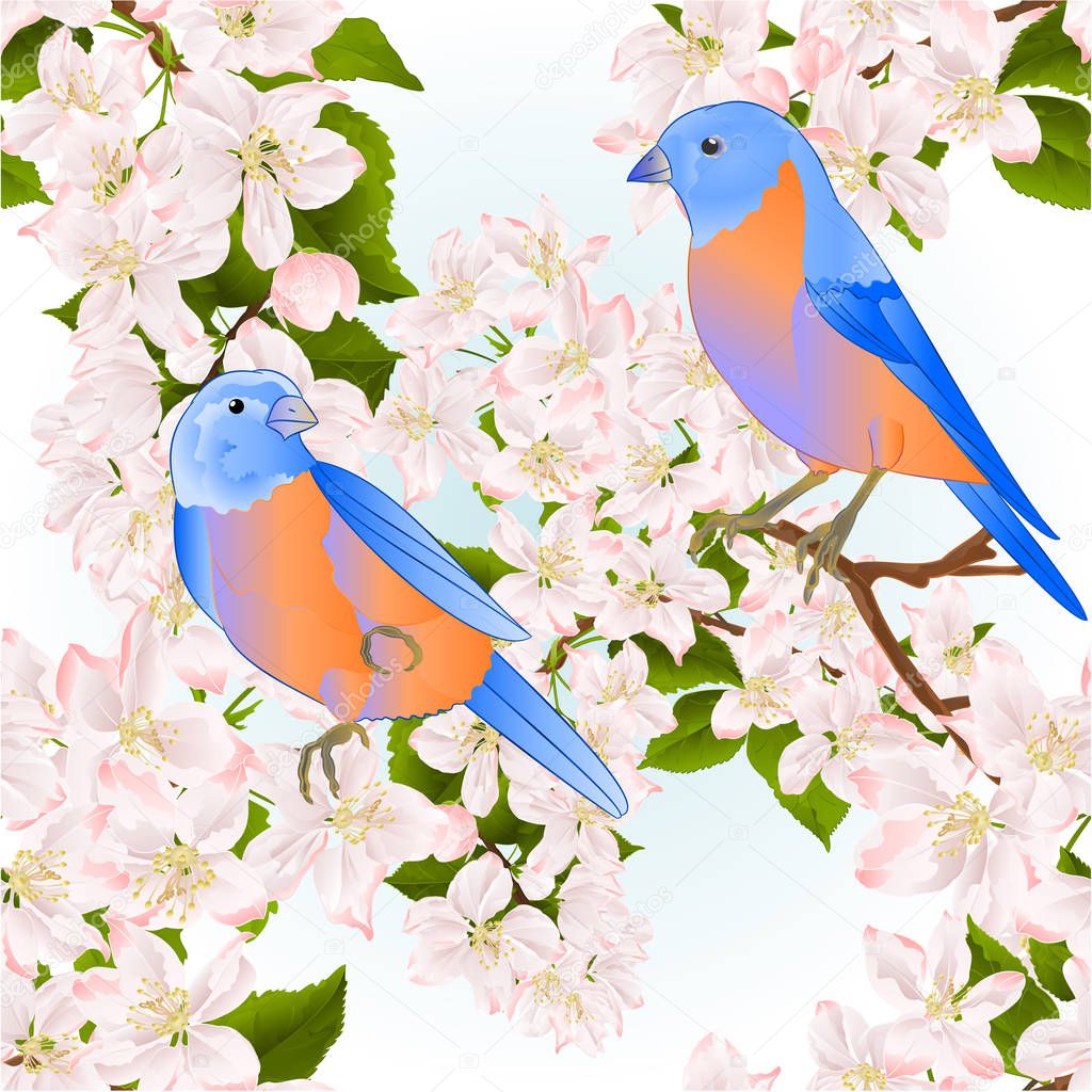 Seamless texture small birds thrush Bluebird  on a apple tree with flowers vintage vector illustration editable hand draw