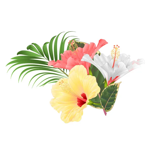 Tropische Bloemen Bloemen Regeling Met Roze Witte Gele Hibiscus Palm — Stockvector