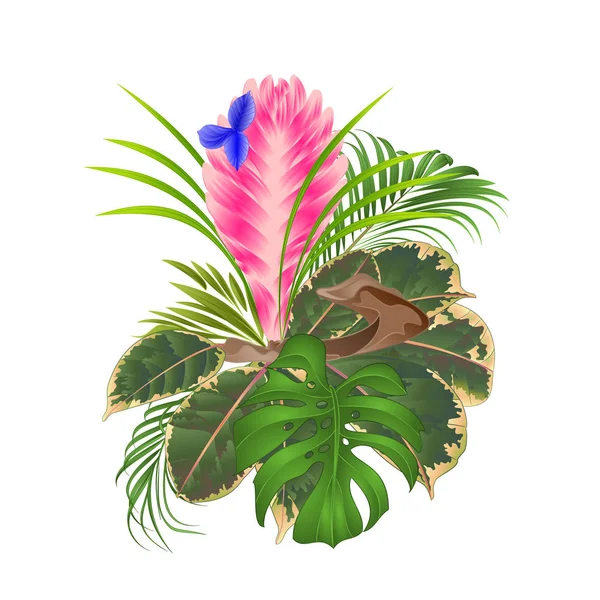 Tillandsia Cyanea Ramo Ramas Con Flores Tropicales Palmera Philodendron Sobre — Vector de stock