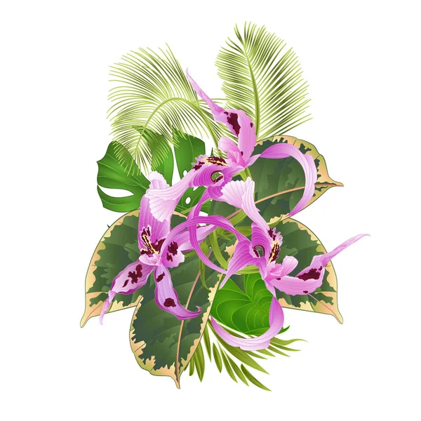 Arreglo Floral Flores Tropicales Con Orquídea Dendrobium Nobile Manchado Púrpura — Vector de stock