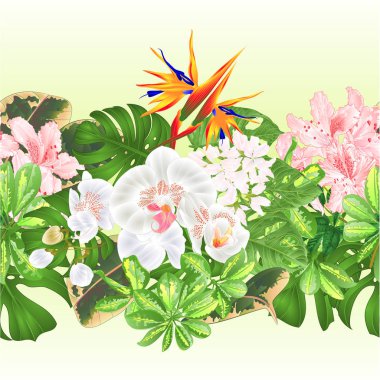Tropikal sınır Dikişsiz arka plan tropikal çiçekler Strelitzia ve beyaz orkide Phalaenopsis Philodendron ve Schefflera ve Monstera Vintage vektör illüstrasyon ile çiçek aranjman